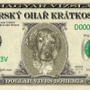 Dollar - dolarovka